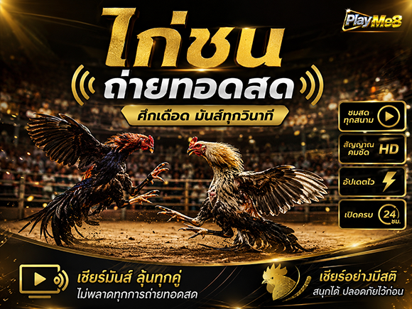 ไก่ชนออนไลน์ Playme8 Center