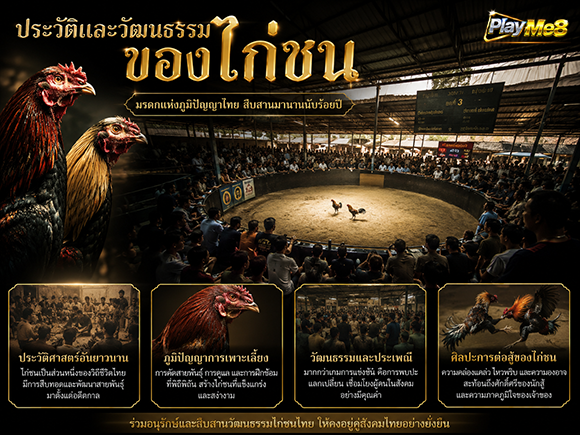 สนามไก่ชนสด Playme8 Center